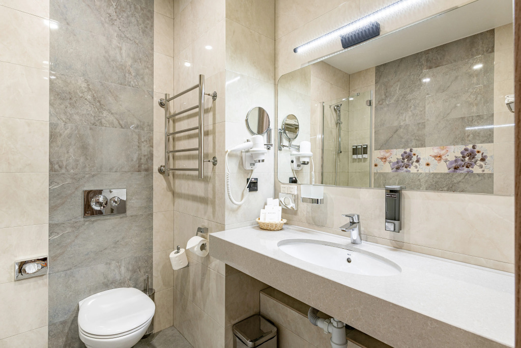 Двухместный номер Комфорт+ (улучшенный) двуспальная кровать в Willing Hotel