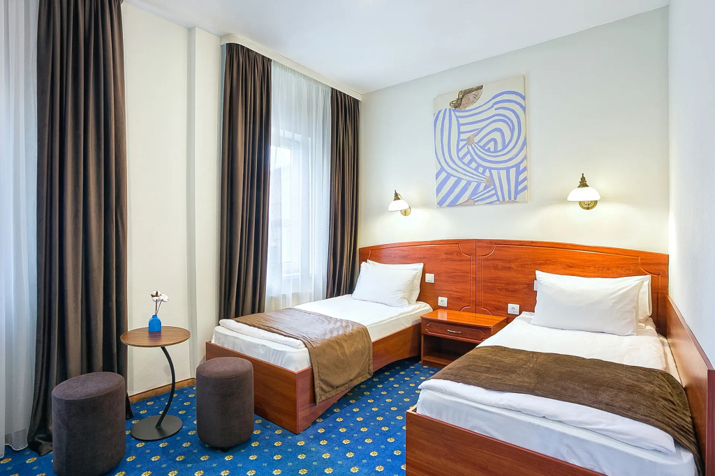Standard Plus Double room (twin beds)