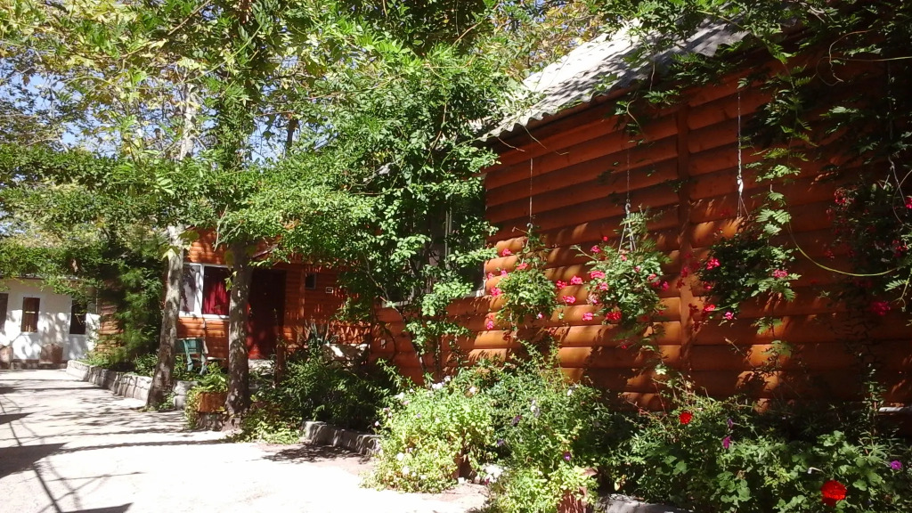 База Отдыха Солнечное - фото 9