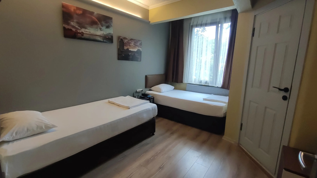 Deluxe Double room with park view (twin beds)