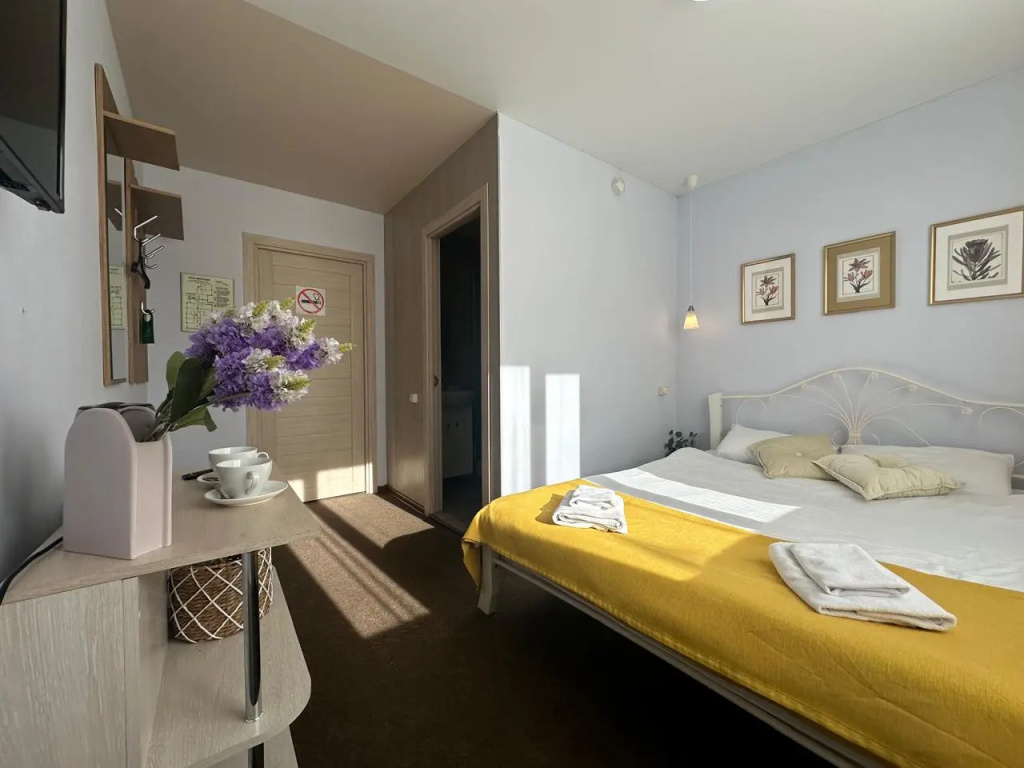 Standard Double room (full double bed)