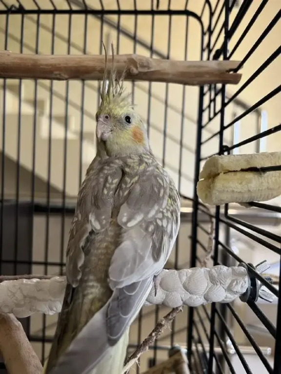 Отель Моцарт - фото 11