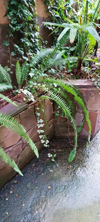 Гостевой дом Тенистый Берег — фото