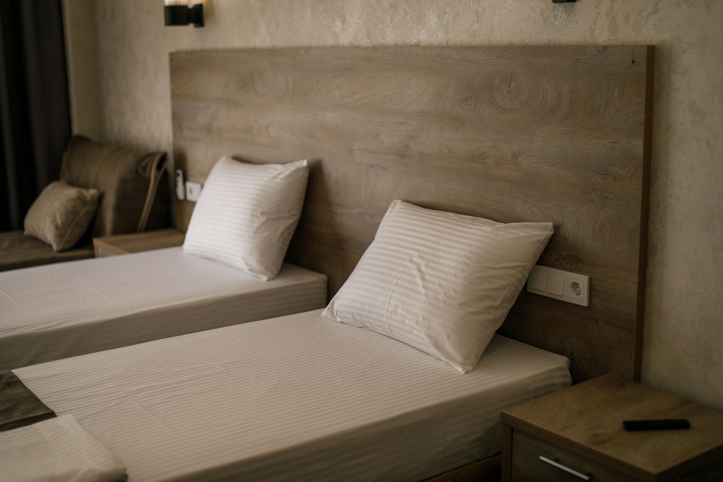 Standard Double room (twin beds)