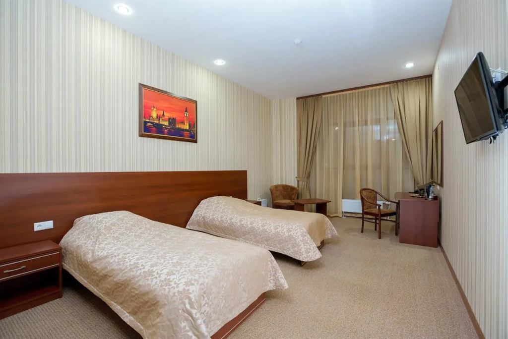 Standard Double room with city view (twin beds)