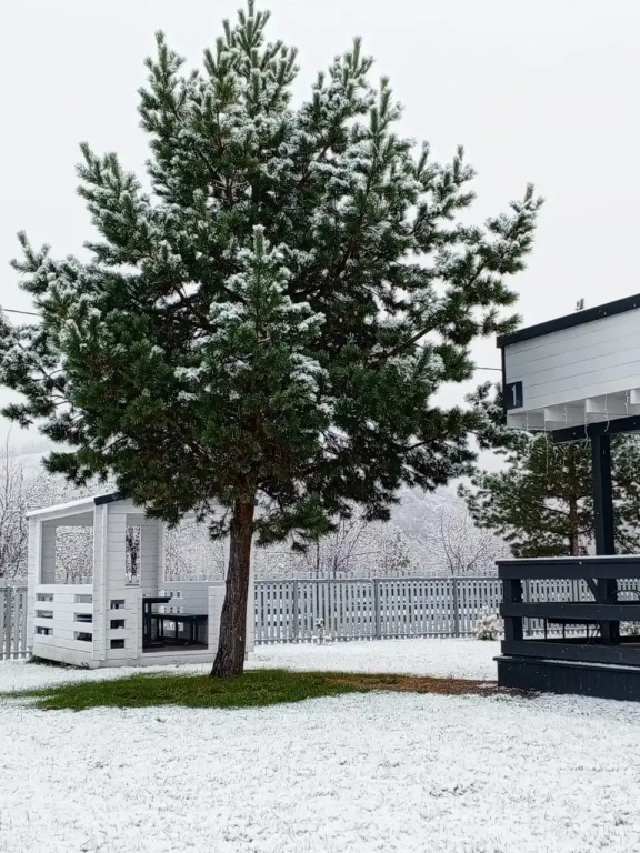 База отдыха Черника - фото 18