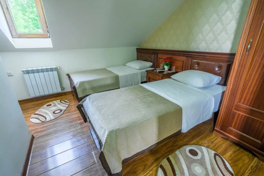 Standard Double room with mountain view (full double bed)