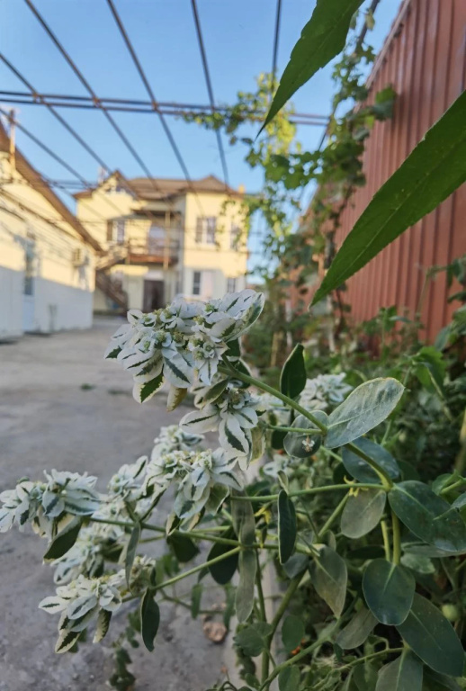 Меблированные комнаты В гостях у сказки Витязево — фото