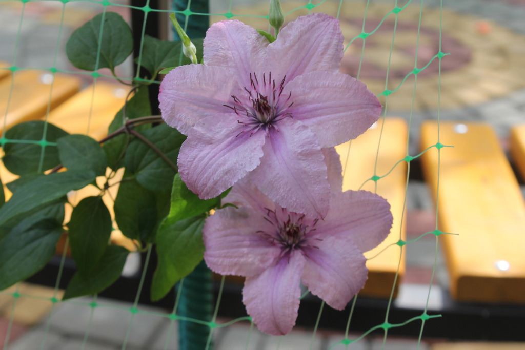 Гостевой Дом Елена - фото 17