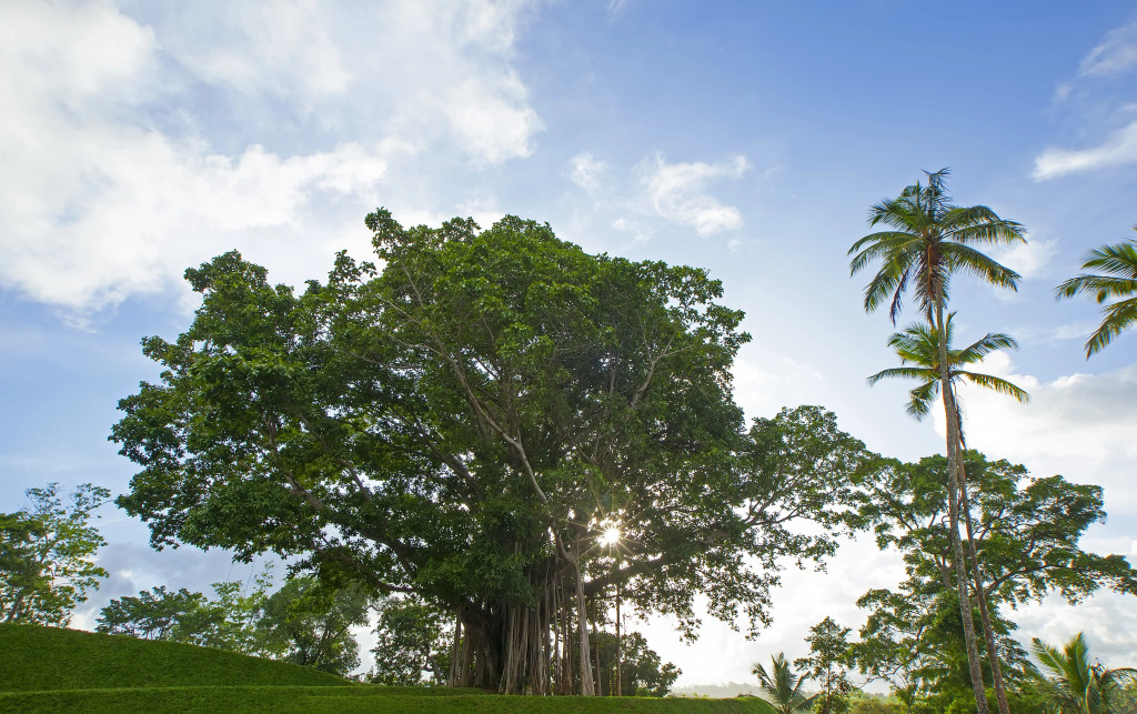 Отель Tri Koggala by Amaya - фото 44