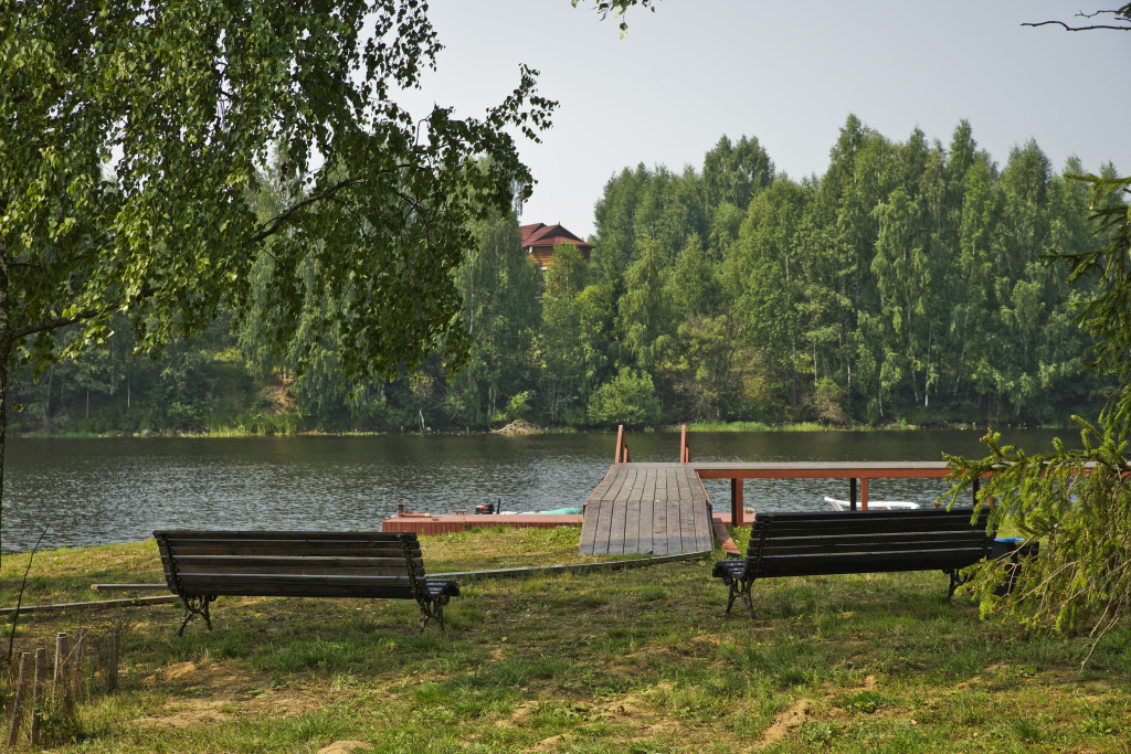 Лесной берег