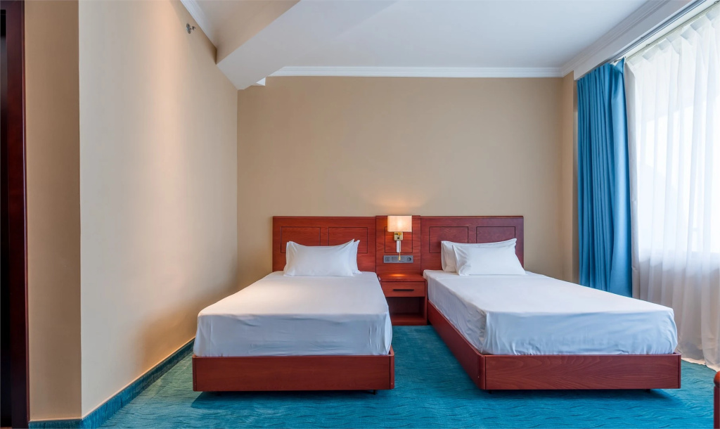Standard Double room (twin beds)