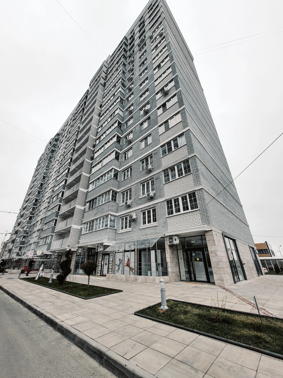 Дракон авто краснодар