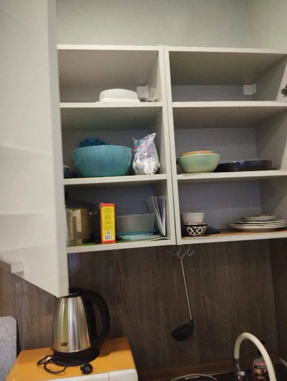 V Ametyevo Flat — 4
