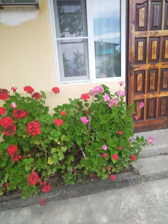 Diana Guest house