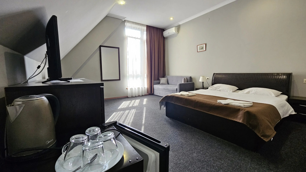 Standard Double room with park view (full double bed)