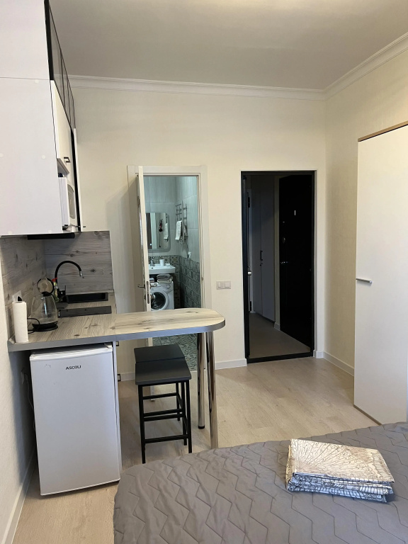 Malina Apartment Бесконтактное заселение студия в ЖК «Спутник» — фото