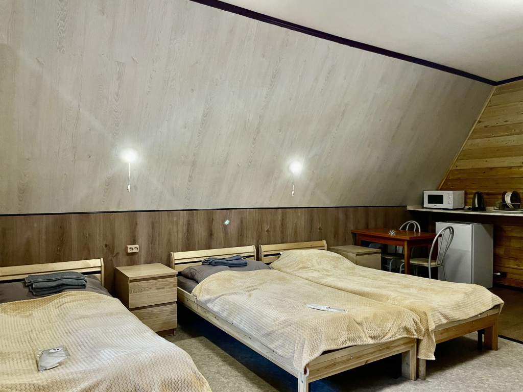 Standard Triple room with city view