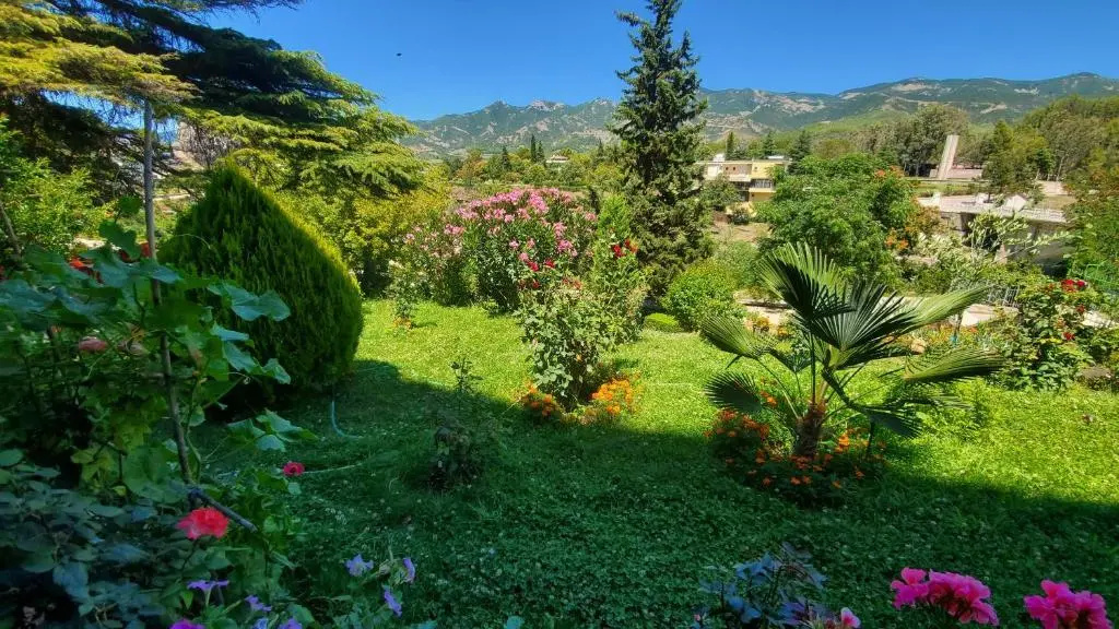 Alvero Hotel - Général