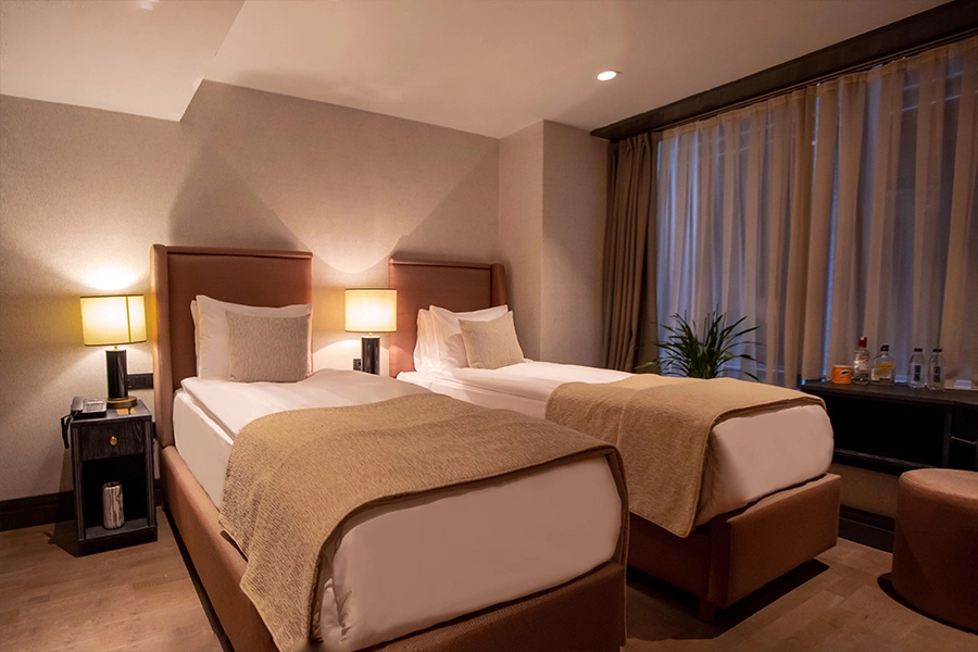 Standard Double room (twin beds)