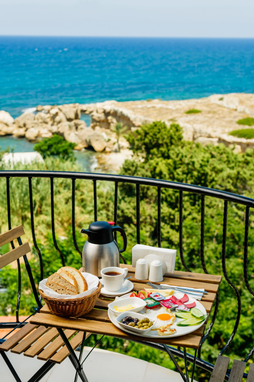 Balcony & Terrace