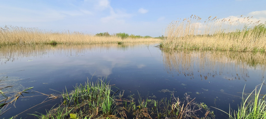 Шестиместный коттедж с видом на внутренний двор в Молгово