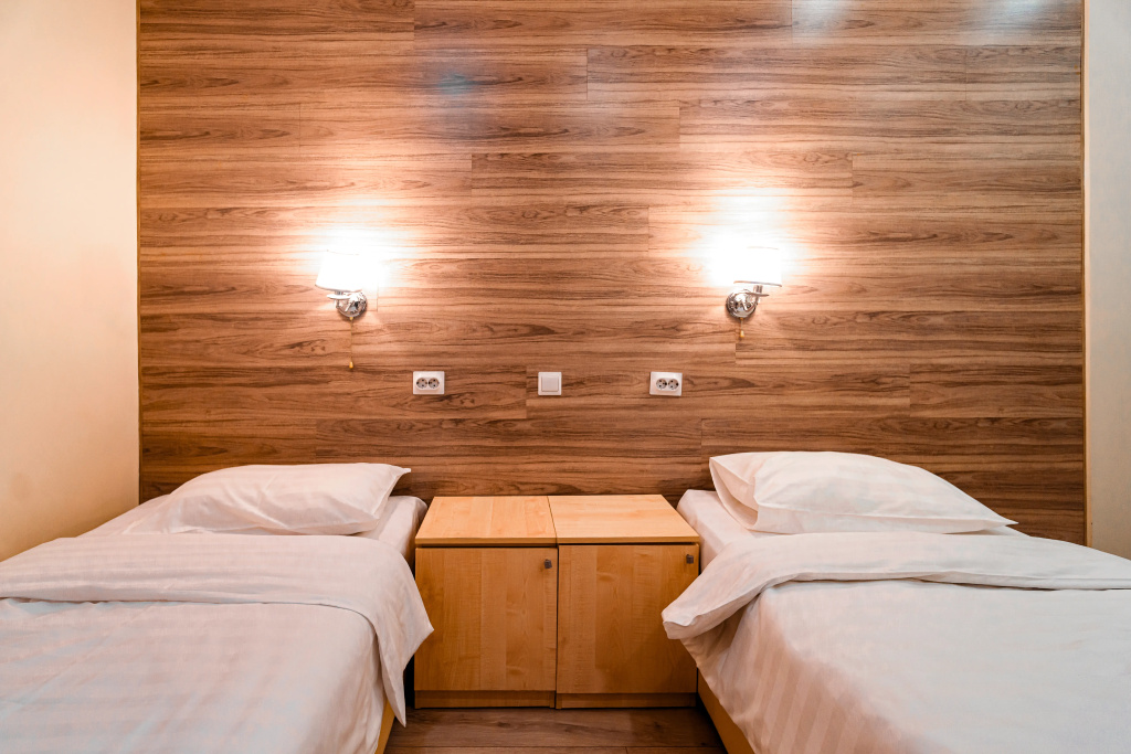 Standard Double room with city view (twin beds)