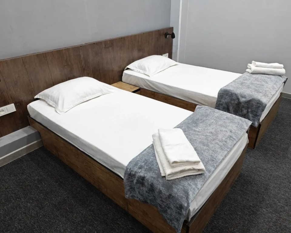 Standard Double room with city view (twin beds)