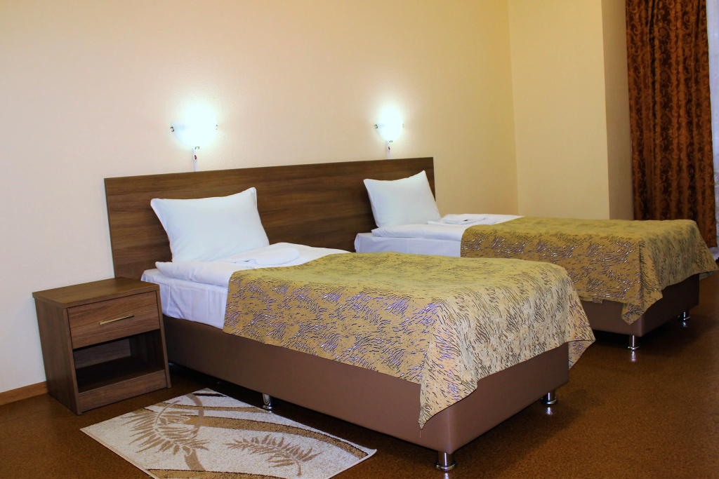 Tsaritsyinskij Kompleks Hotel Room Type - Comfort Double room twin beds