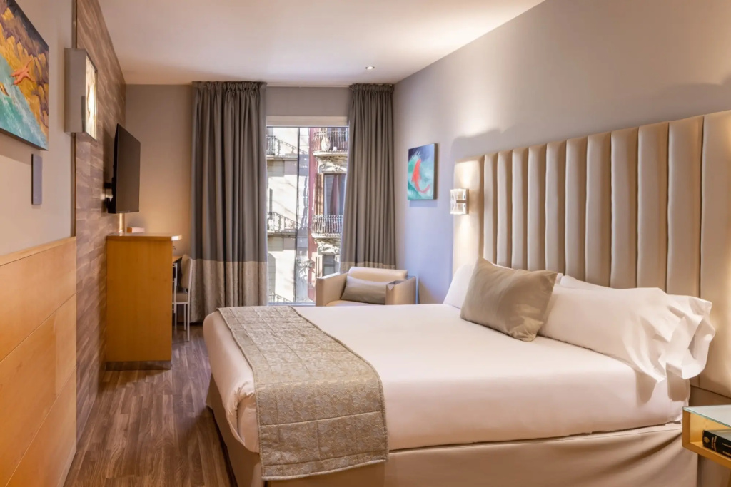 Standard Double room (full double bed)