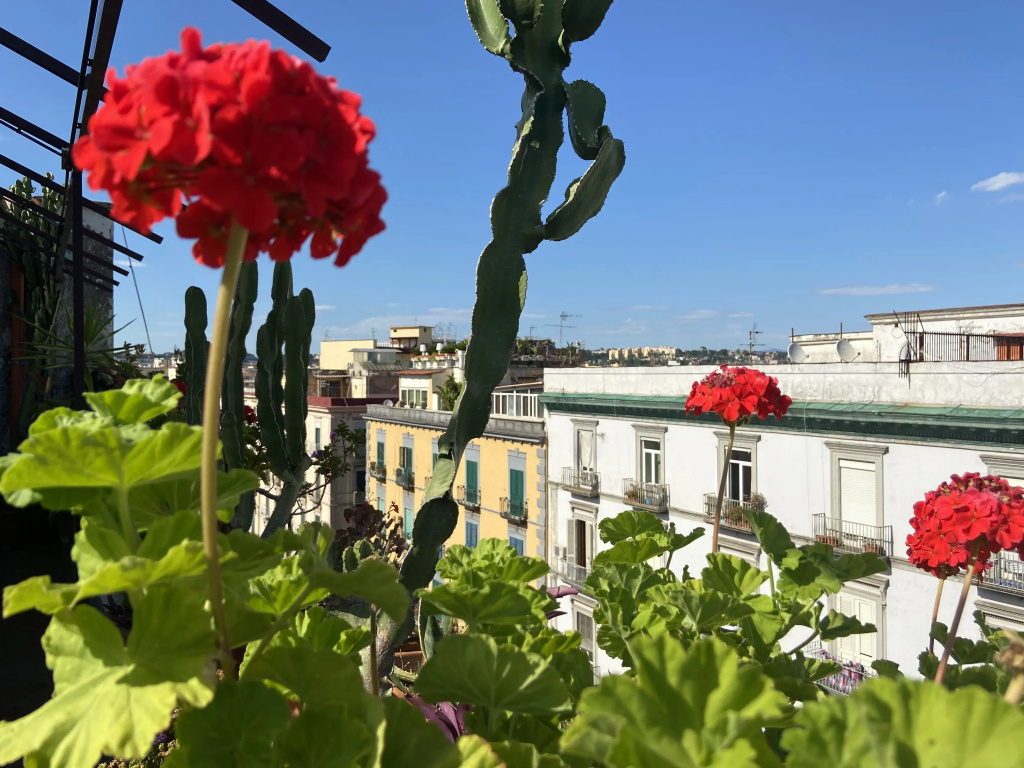 Hotel photo 28