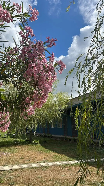 Todua Guest house