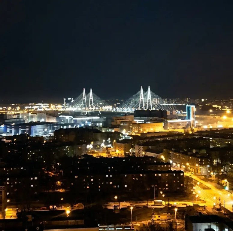 Квартира на Вантовый Мост и Неву — фото