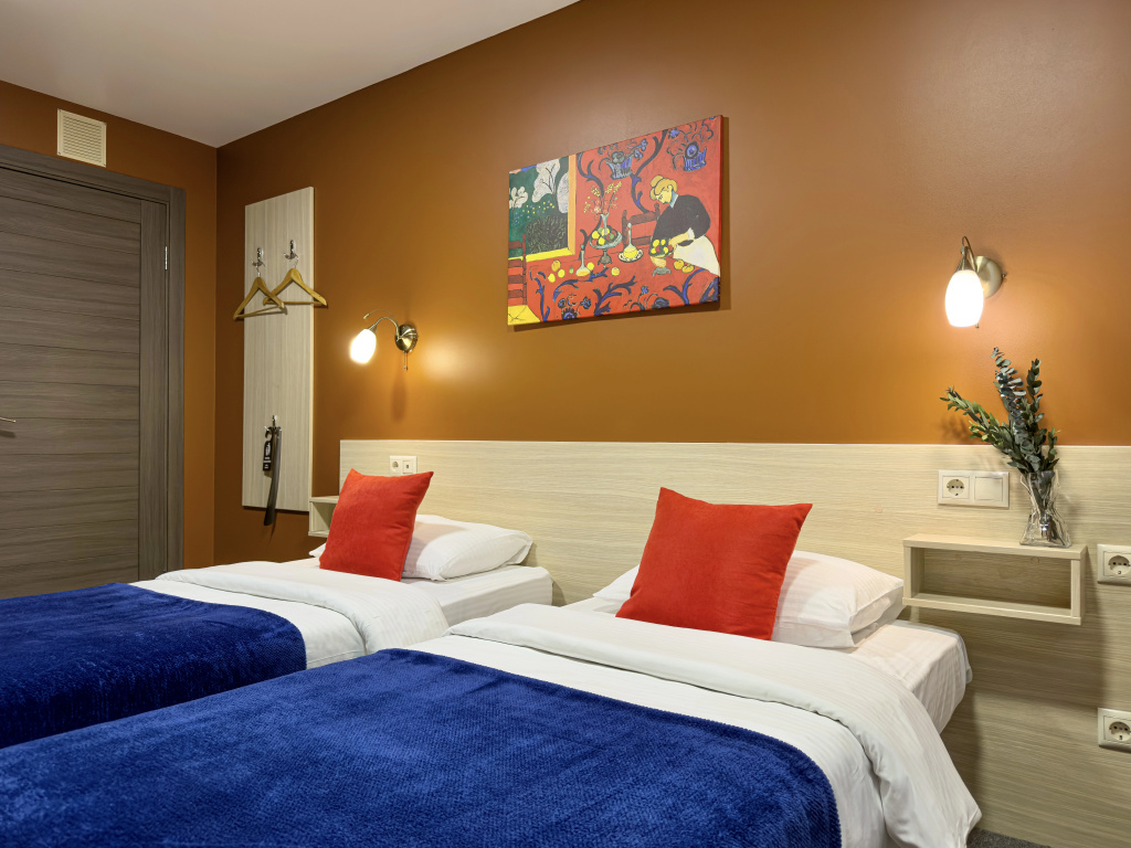 Standard Double room with city view (twin beds)