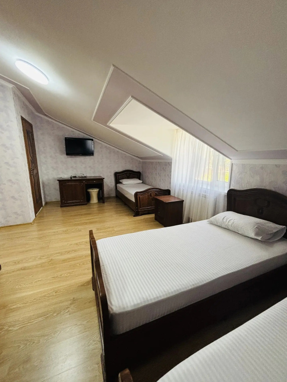 Standard Triple room with view