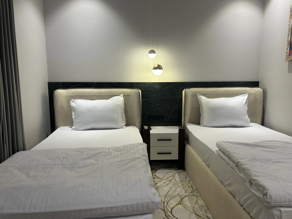 Standard Double room (twin beds)