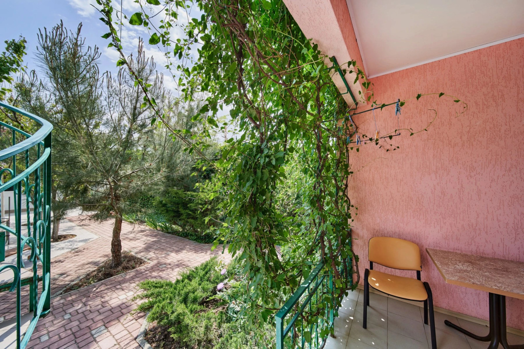 1 Bedroom Standard room with pool view