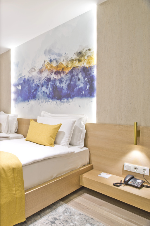 Standard Double room with city view (twin beds)