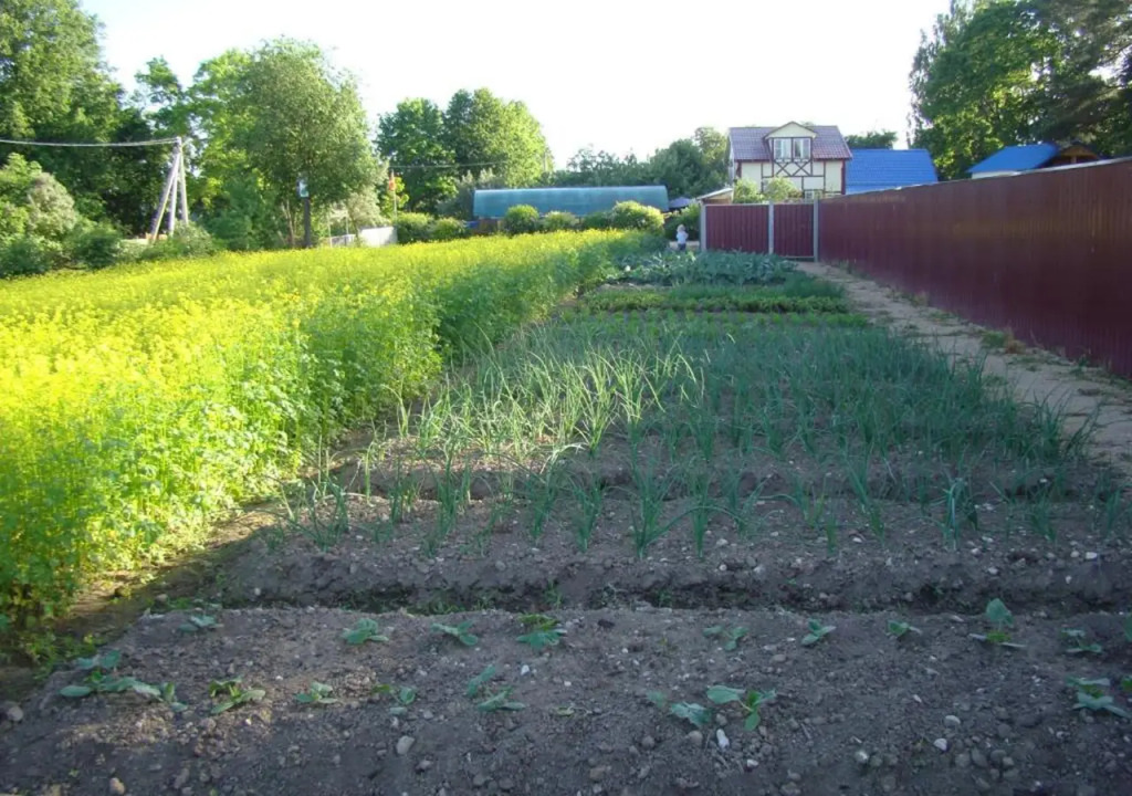 Гостевой дом КартошКино - фото 15