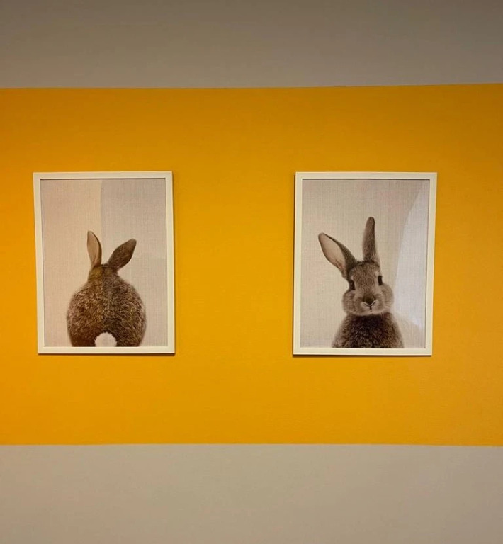 Четырёхместный люкс Superior с красивым видом из окна в Нептун-2