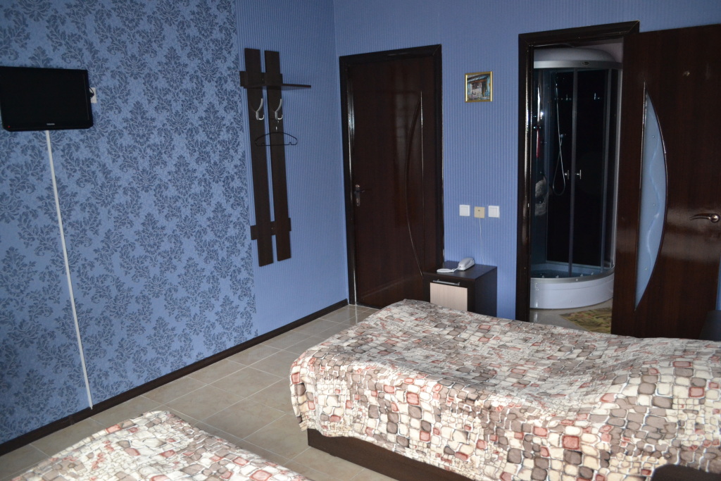 Двухместный номер Standard 2 отдельные кровати в Александра