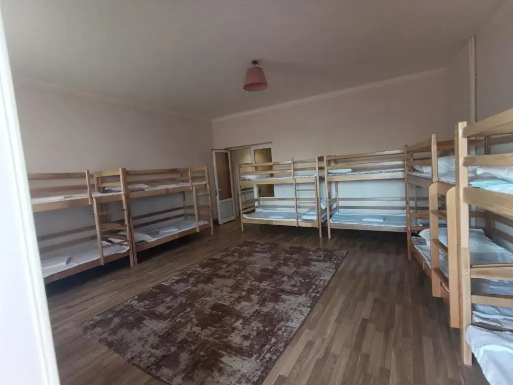 Хостел Dreamer's den hostel and tours - фото 4