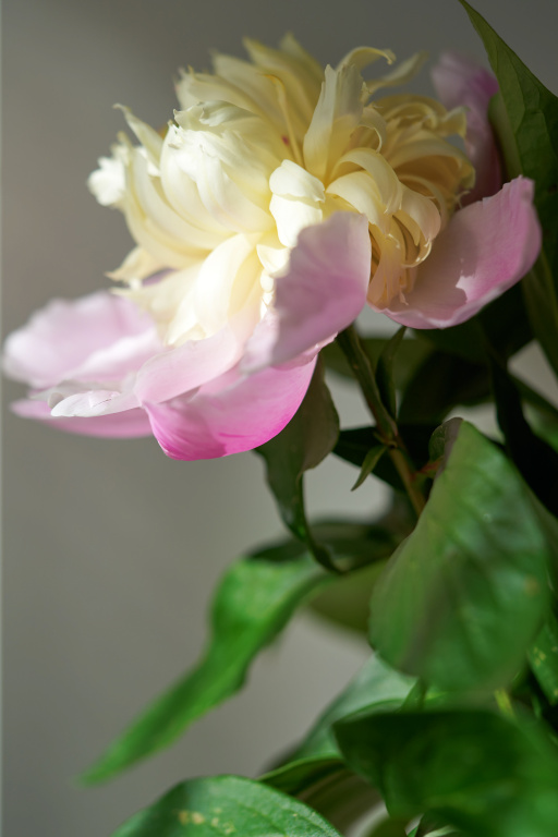 Мини-отель Кумир — фото