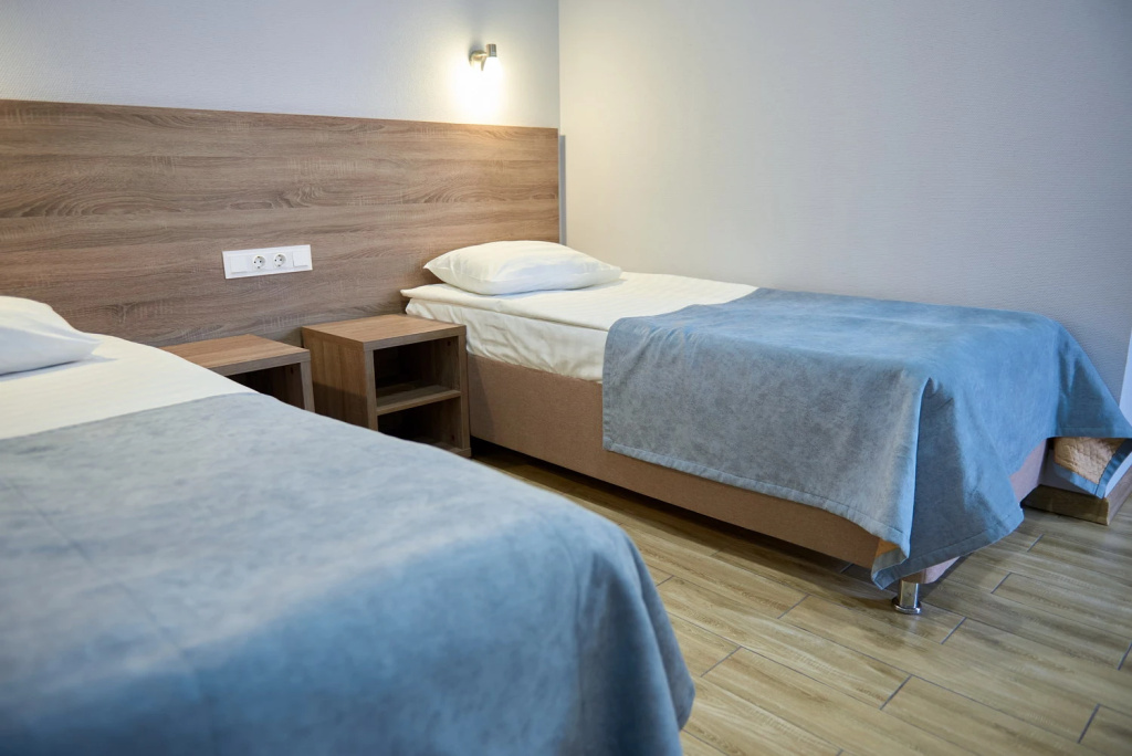 Standard Double room (twin beds)