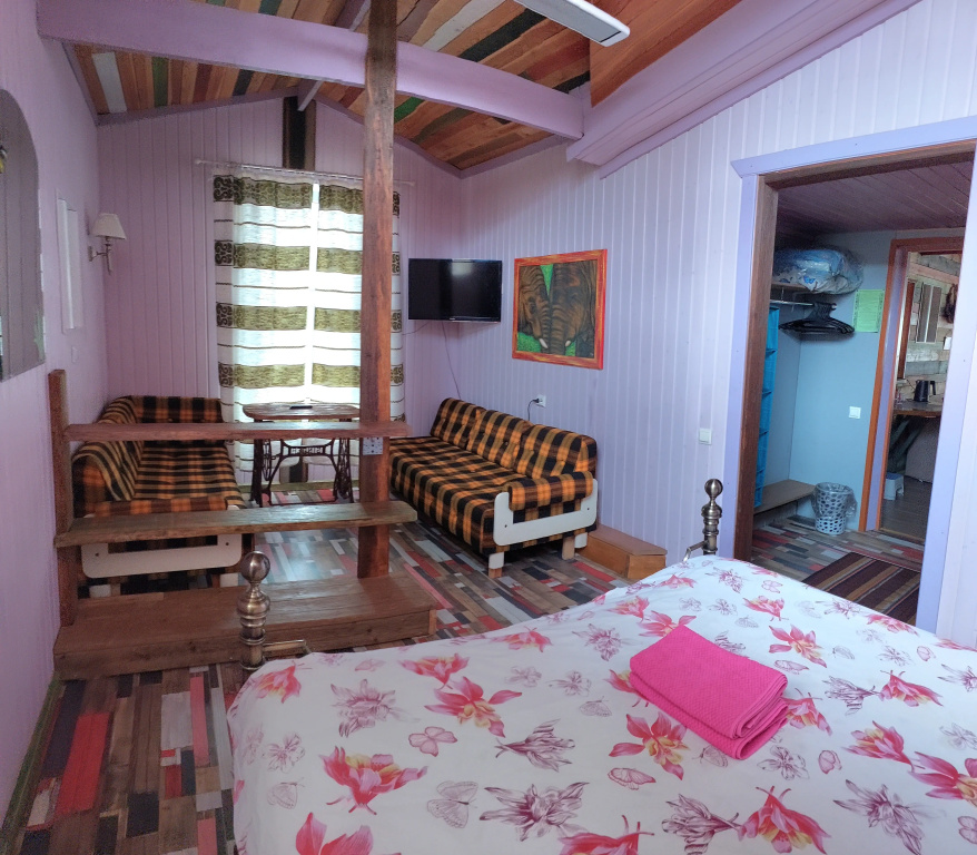 Standard Double room (full double bed)