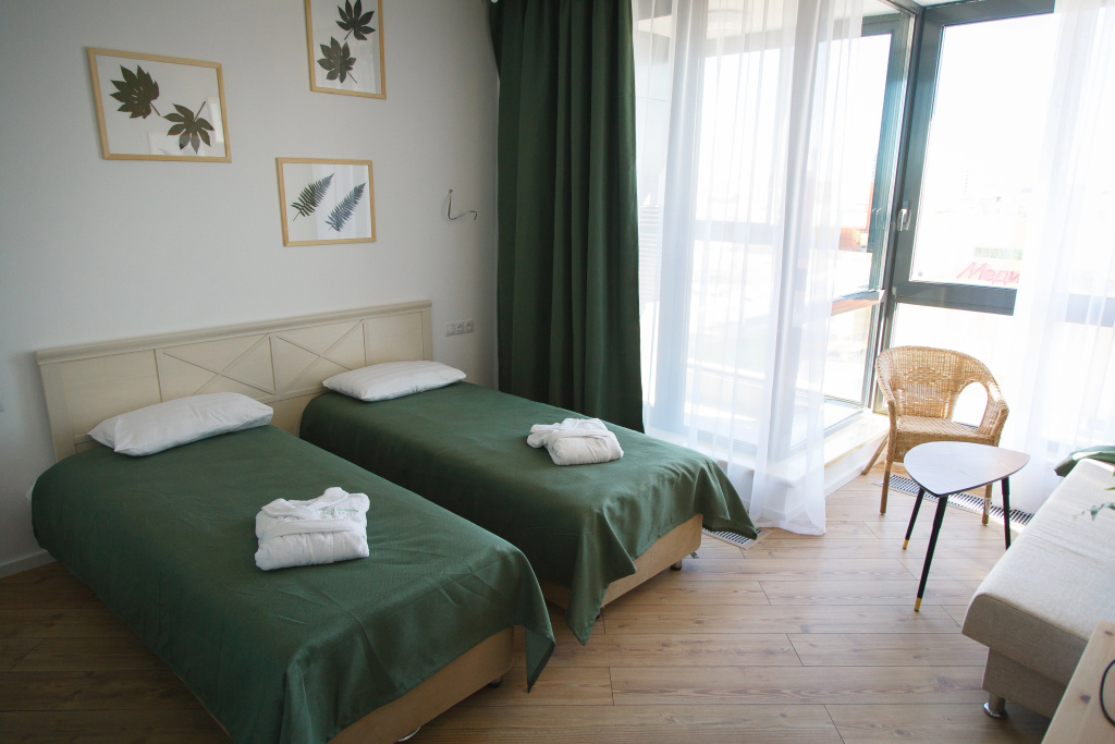 Standard Double room with balcony (twin beds)