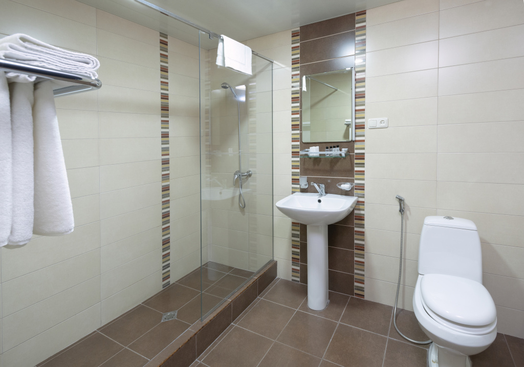 Ani Central Inn Hotel - Chambres