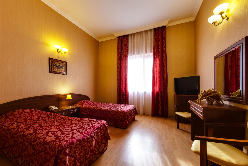 Standard Double room (twin beds)