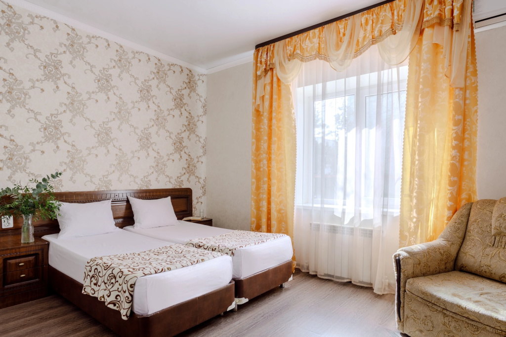 Standard Double room (full double bed)