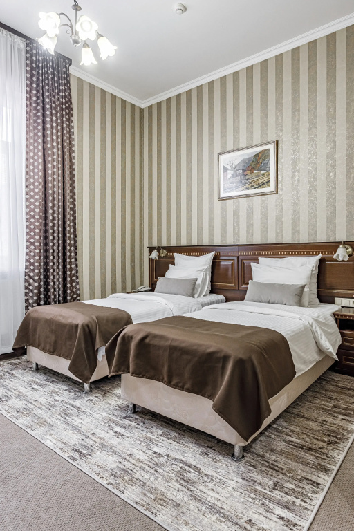 Standard Double room (twin beds)